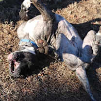 Thumbnail photo of Gerald #2