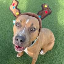 Thumbnail photo of Chloe #1