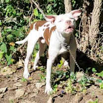 Thumbnail photo of Stefen #2