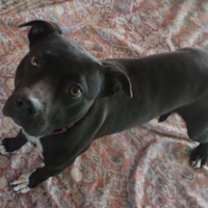 Thumbnail photo of Love #1