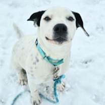 Thumbnail photo of Judo #2