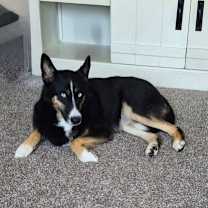 Thumbnail photo of Taivas #1