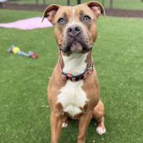 Thumbnail photo of Chloe #2