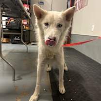 Thumbnail photo of Ice #1