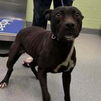 Thumbnail photo of Love #2