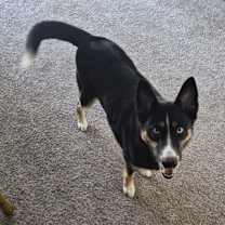 Thumbnail photo of Taivas #3