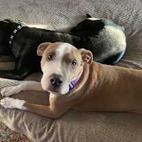 Thumbnail photo of Surge #2