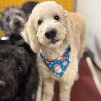 Thumbnail photo of Craig #3