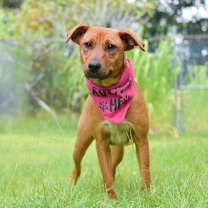 Thumbnail photo of Ruby #1