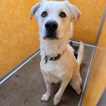 Thumbnail photo of Buster #2