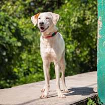 Thumbnail photo of Nube #2