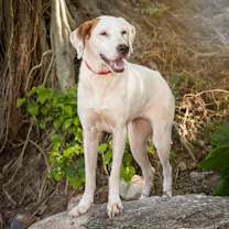 Thumbnail photo of Nube #3