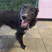 Thumbnail photo of 59960201 #2