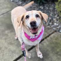 Thumbnail photo of Nela #1