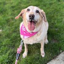 Thumbnail photo of Nela #2