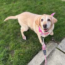 Thumbnail photo of Nela #3