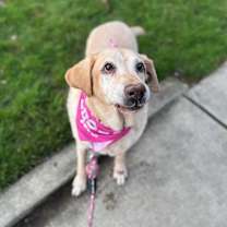 Thumbnail photo of Nela #4