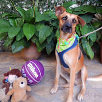 Thumbnail photo of Patricio #1