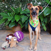 Thumbnail photo of Patricio #3