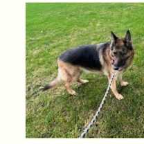 Thumbnail photo of Emmie * #3