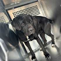 Thumbnail photo of 59955218 #1