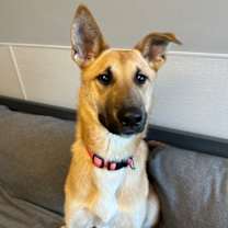 Thumbnail photo of Anya #1