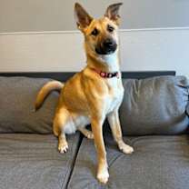 Thumbnail photo of Anya #2