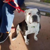 Thumbnail photo of PILOT #3