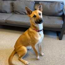 Thumbnail photo of Anya #3