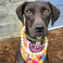 Thumbnail photo of Sherry #1