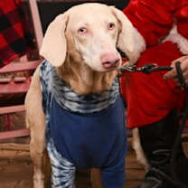 Thumbnail photo of Fay #1