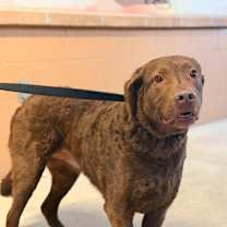 Thumbnail photo of Hannah #1