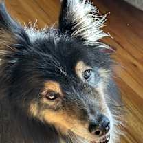 Thumbnail photo of Wes #2