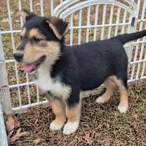 Thumbnail photo of XOXO (ZOZO) #4