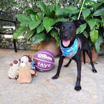 Thumbnail photo of Berna #1