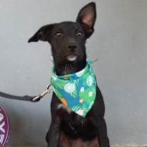 Thumbnail photo of Berna #4