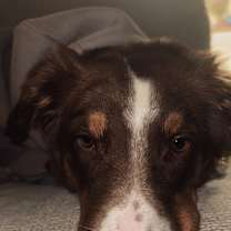 Thumbnail photo of Atlas #1