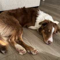 Thumbnail photo of Atlas #2