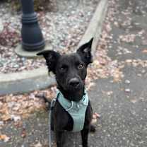 Thumbnail photo of Chance #3