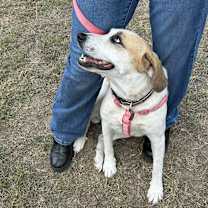 Thumbnail photo of Noodle #1