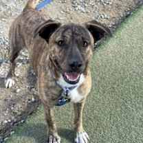 Thumbnail photo of Honey #2