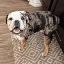 Thumbnail photo of Russ #2