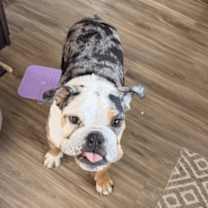 Thumbnail photo of Russ #4