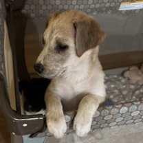 Thumbnail photo of Holly #1