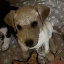 Thumbnail photo of Holly #3