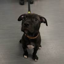 Thumbnail photo of Ben #1