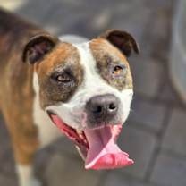 Thumbnail photo of Mugsy #3