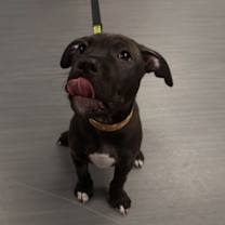 Thumbnail photo of Ben #2