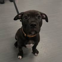 Thumbnail photo of Ben #3