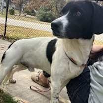 Thumbnail photo of Cletus #1